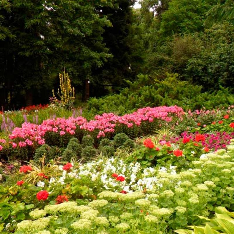 chernivtsi-botanichnyi-sad