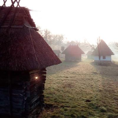 chernivtsi-scansen