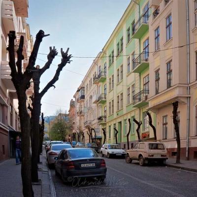 prohulianka-chernivtsiamy