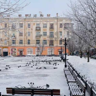 zymovi-chernivtsi