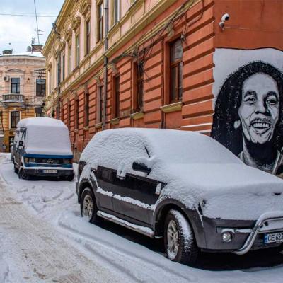 zymovi-chernivtsi