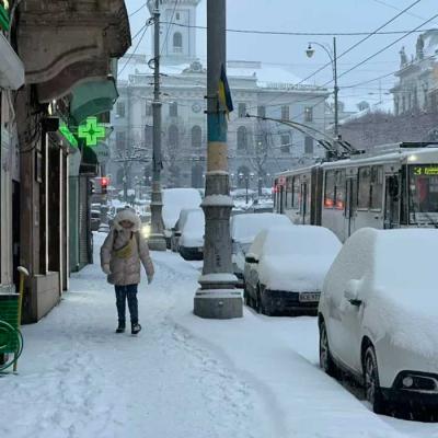 zymovi-chernivtsi