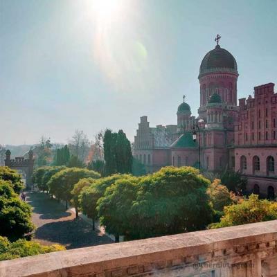chernivtsi-chernivtsigram-osin
