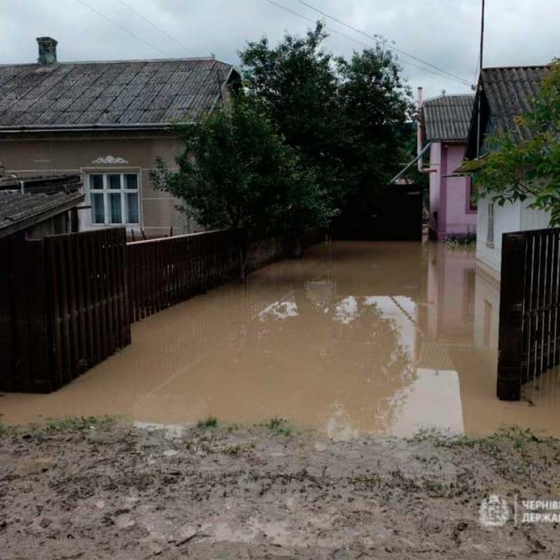povin-na-bukovyni-2020