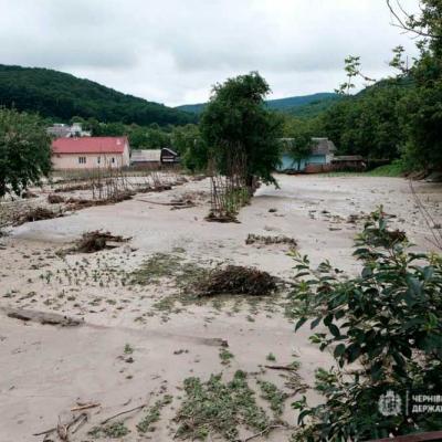 povin-na-bukovyni-2020